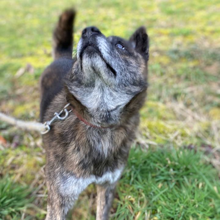 Cad7e2af ef91 424f ac4c a6c4f005a252 1583965534322