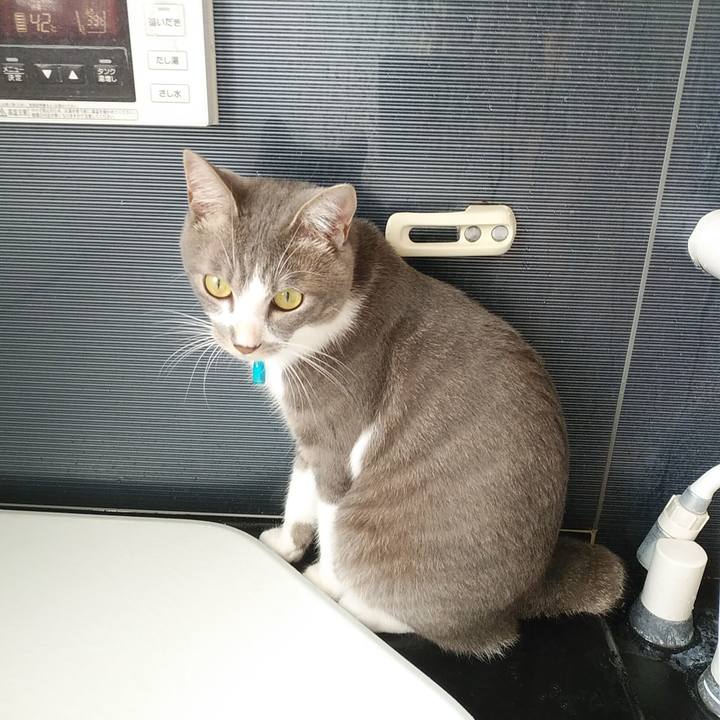 Cad814e9 569a 43d7 beb5 de32eed3e5fa 1594595650598