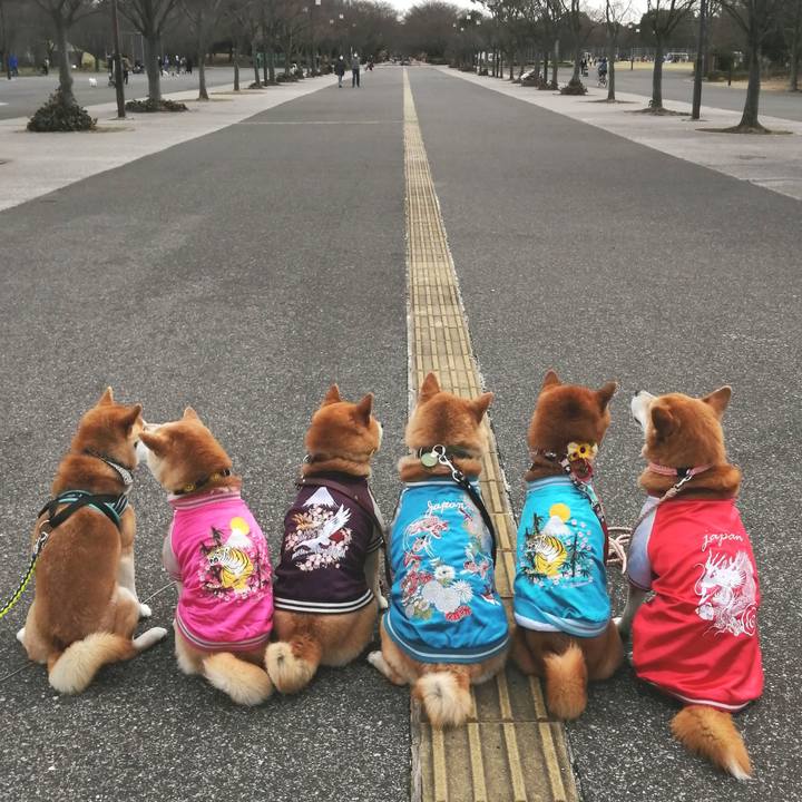 Cad8233d 7d27 4abf b1e2 bda52b9f5a5c 1647697091897