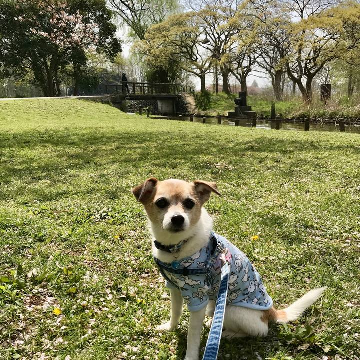 Cad82c79 8d20 43b7 9eeb e5be586a37d9 1649478309404