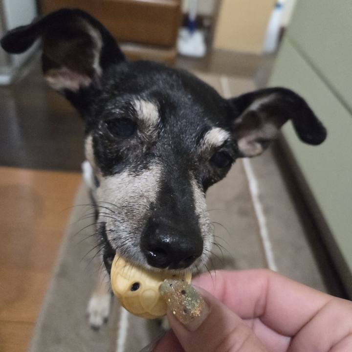 Cad8356d 5d93 4f56 bf20 7bec1534f0f3 1759779777525