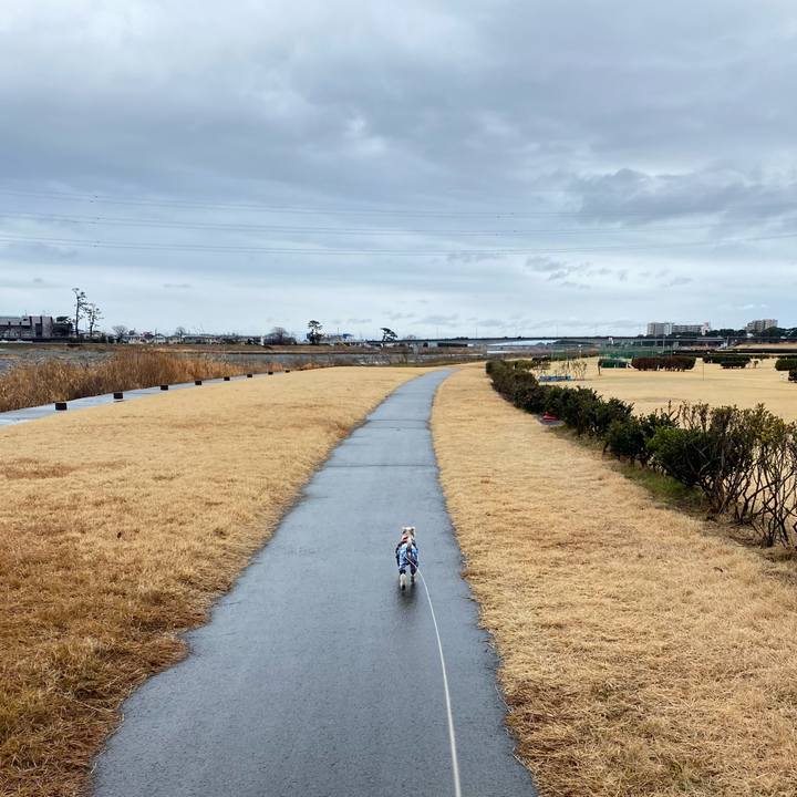 Cad848ca 7b4d 4154 b238 84f849ec0505 1611464611532