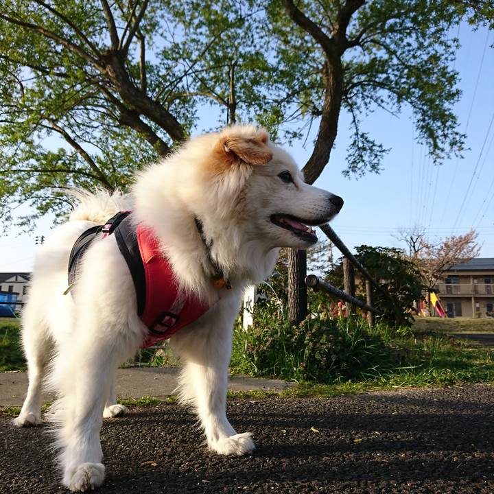 Cad85fa5 b640 41e0 aea4 6013960574d2 1523309053725