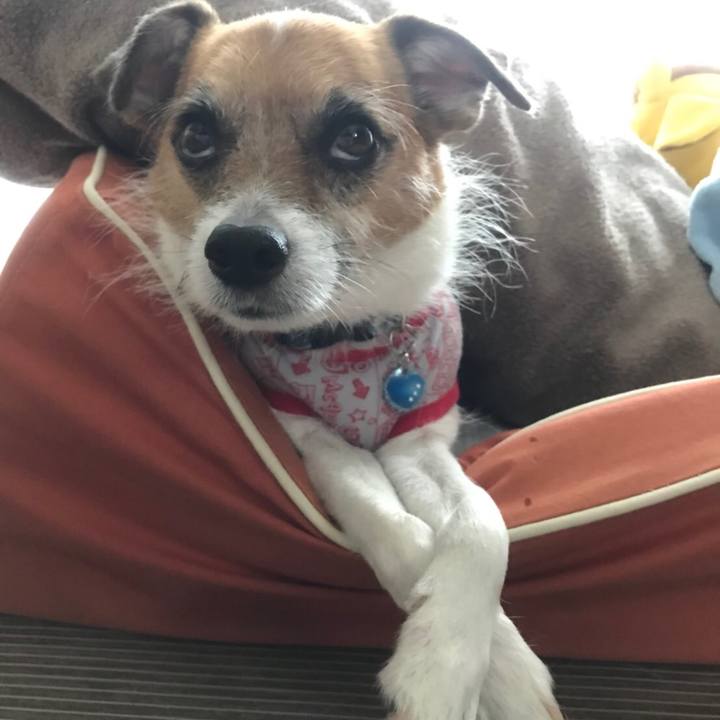 Cad86328 bba3 4882 8558 1ecf7aaa7073 1508020838926