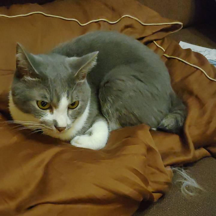 Cad8aed0 742f 4f9f 800b 317f442ba1dc 1666078548460