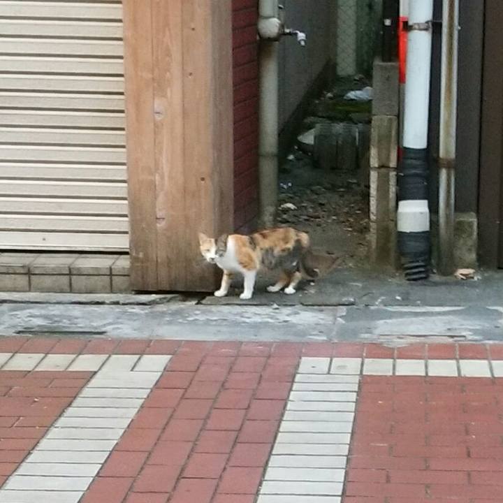 Cad8b5fb 89fb 411c b9fc b378b08ef3a1 1597444621680