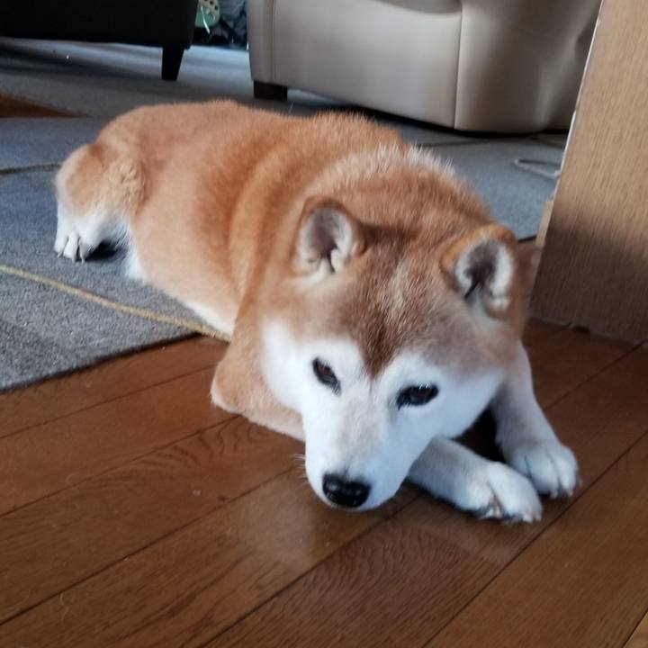 Cad8b64e be27 4801 b272 16d90eb55400 1662880512131