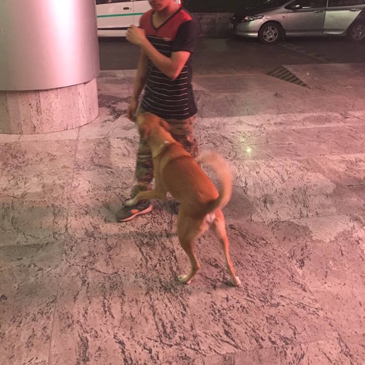 Cad8d45f eafd 4f08 a1e0 051e1c9204a3 1550074088952