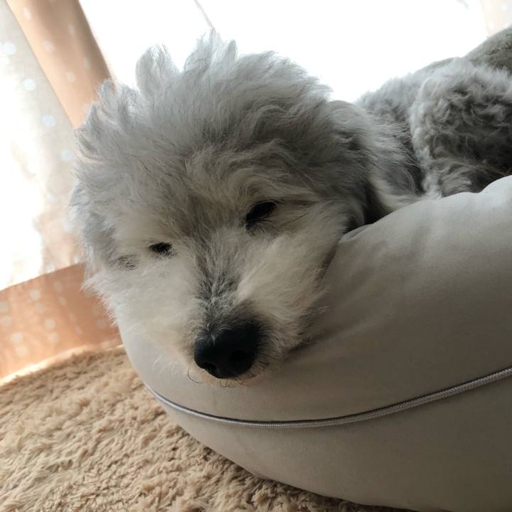 Cad8df7a c985 4275 8634 0948d9fe7d39 1624086146528