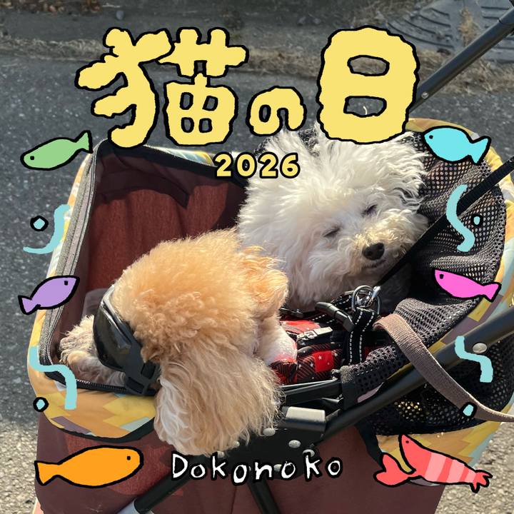 Cad909c4 9477 4b00 bdab 37b7b6d8d68d 1771796083980