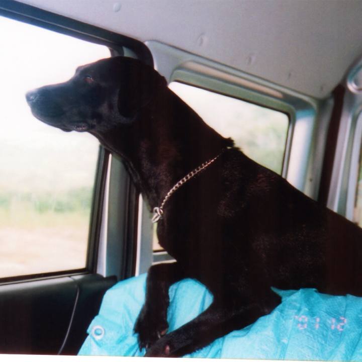 Cad9113f 6c1b 4653 be1c 95a4d5b3ecd7 1519551768968