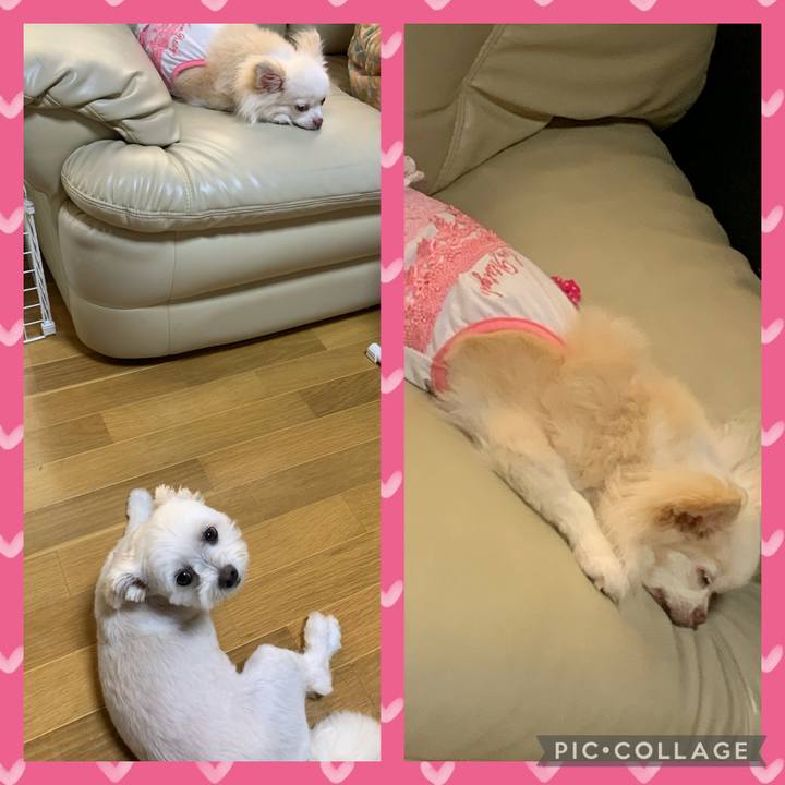 Cad94b27 5691 495f 8b72 1dafd0e189f9 1629976217171