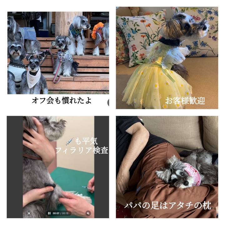 Cad96e7c a4c8 457e b97d 816a683512ba 1715850486686