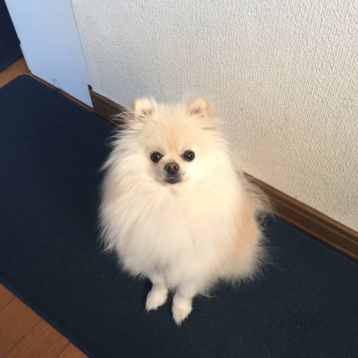 Cad99556 3c9e 422c bd18 a59eff702dd5 1516748766417