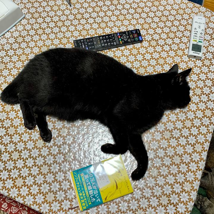 Cad9a016 b708 4736 bf1c 023f191b4d04 1629379329708