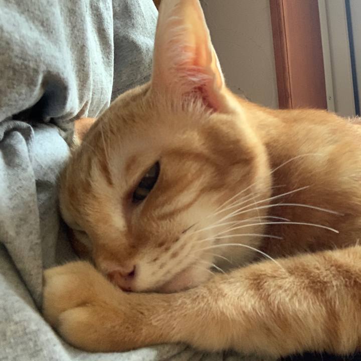 Cad9e7e6 36c0 41f8 8005 be71afb6455f 1665355719321