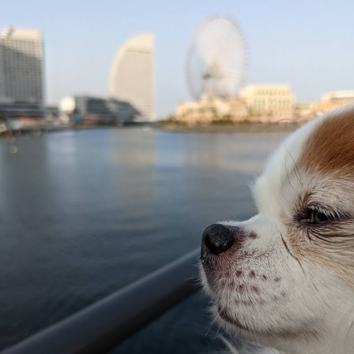 Cad9e805 44af 4e7a a527 7406d81825a4 1648191342787