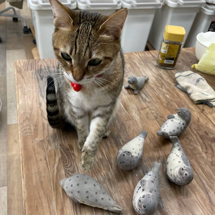 Cad9f464 1dc8 4825 bd65 1cc0290bc475 1738301467786