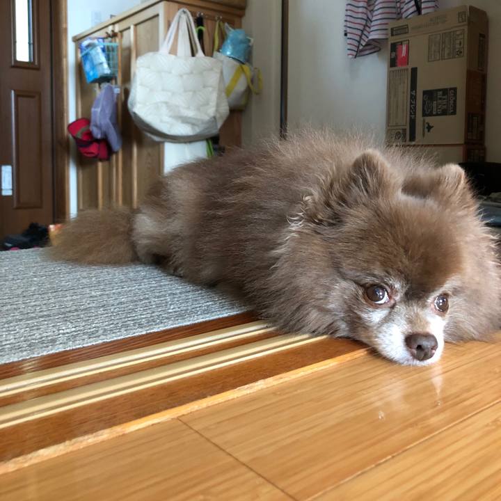 Cada0407 02d7 4f45 9bc8 2027bf35948d 1633564942283