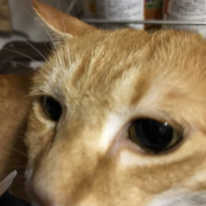 Cada723b 0d7f 4bfb ada6 1503f48b52ed 1537867031247