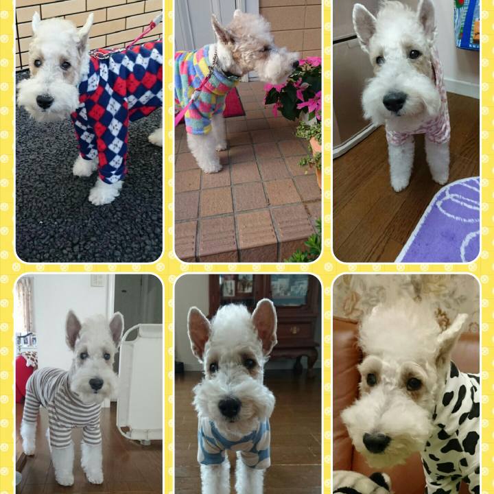 Cada7a79 f915 45c7 b8f3 7d4eb9fcb044 1605484529469