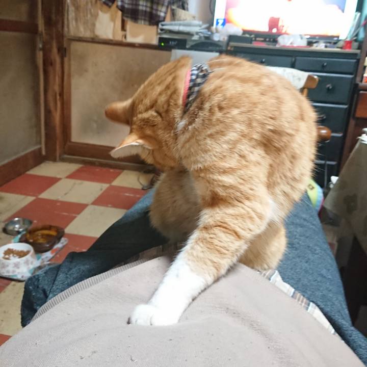 Cadae67e c21d 4f4f 9669 7c340dbd363f 1575110558697