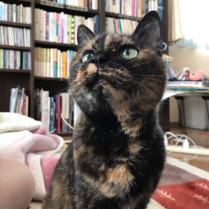 Cadaf8f8 6486 47b6 bd72 acacbc114dc8 1603971403505