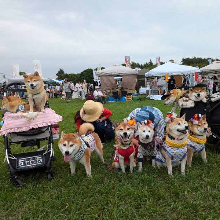 Cadb1b83 01c7 4751 8f6c 48ff288f6d4a 1726995153901