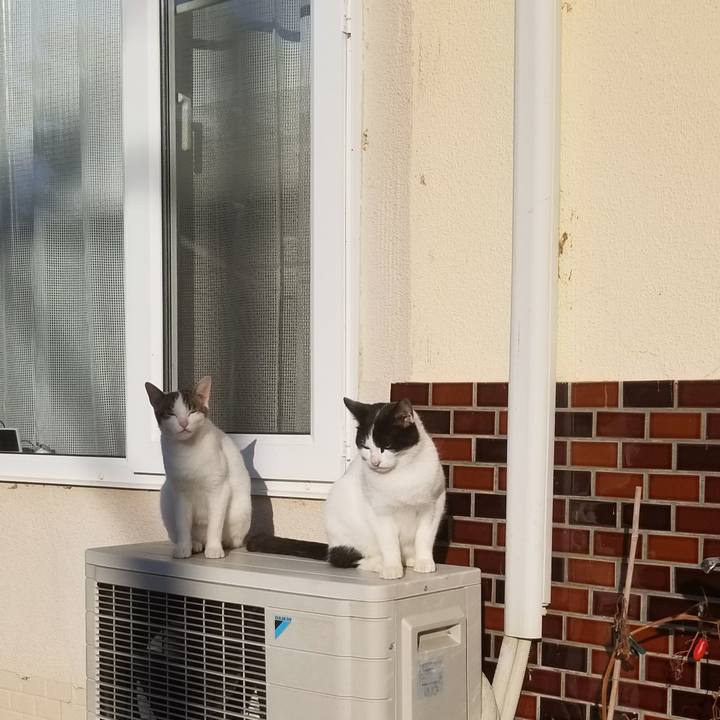 Cadb58f9 c16b 4fba a2cd 649d784b8424 1573183424895