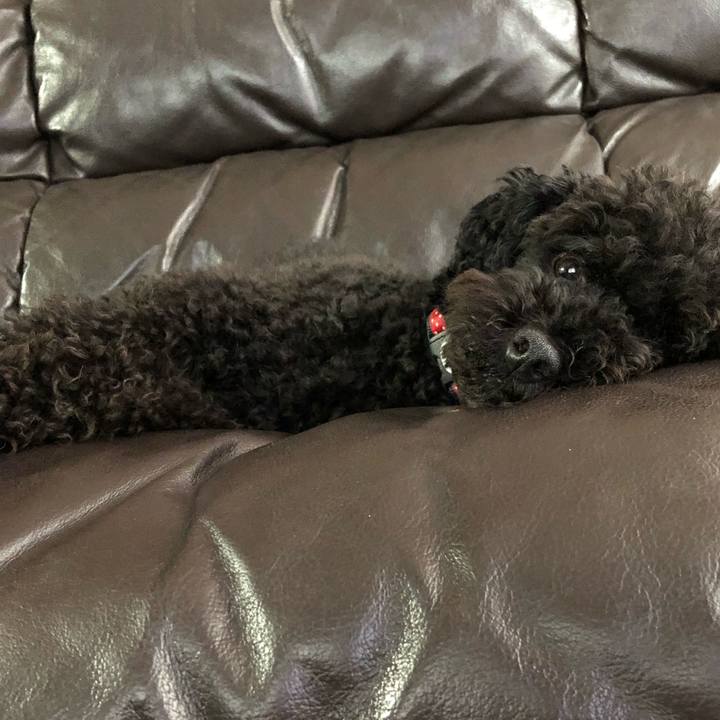 Cadbc76e 8904 4397 b563 82b5ec3040e8 1566611920387