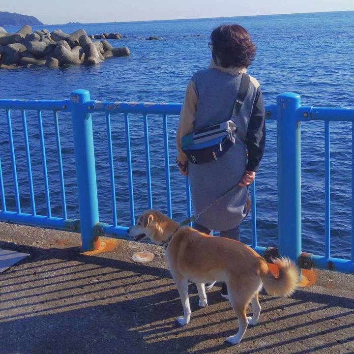 Cadbd2bb a423 44a9 ba65 9c26fb617900 1578039619020