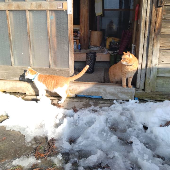 Cadbdb60 a084 4e96 bc3d 3bf099e3011f 1739664874037