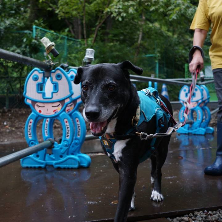 Cadbfd2a 625e 47d6 bc66 ef4d3e4de57b 1758324796315