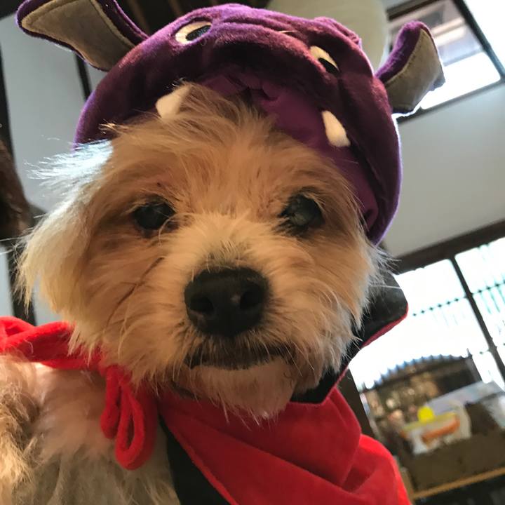 Cadc202a c4e7 4db1 9f2e d8eee4e8561c 1540942878502