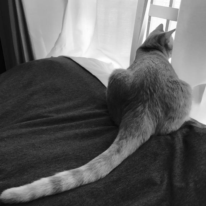 Cadc58a3 e211 4940 92cf 8b54fd53e539 1589177782158