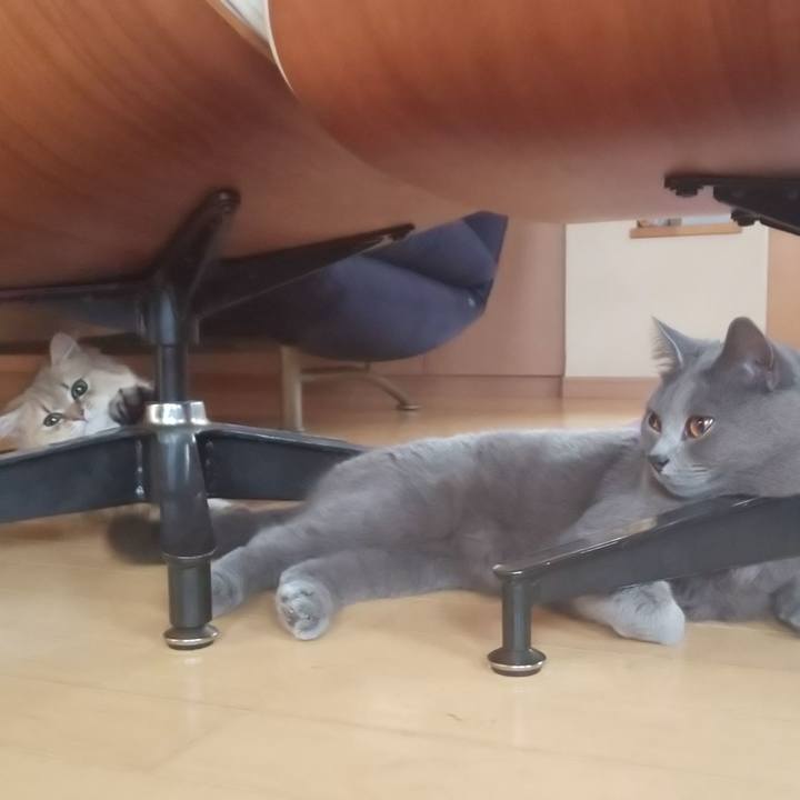 Cadc6d03 338a 403e 9669 dfb6be3f3485 1559863131162