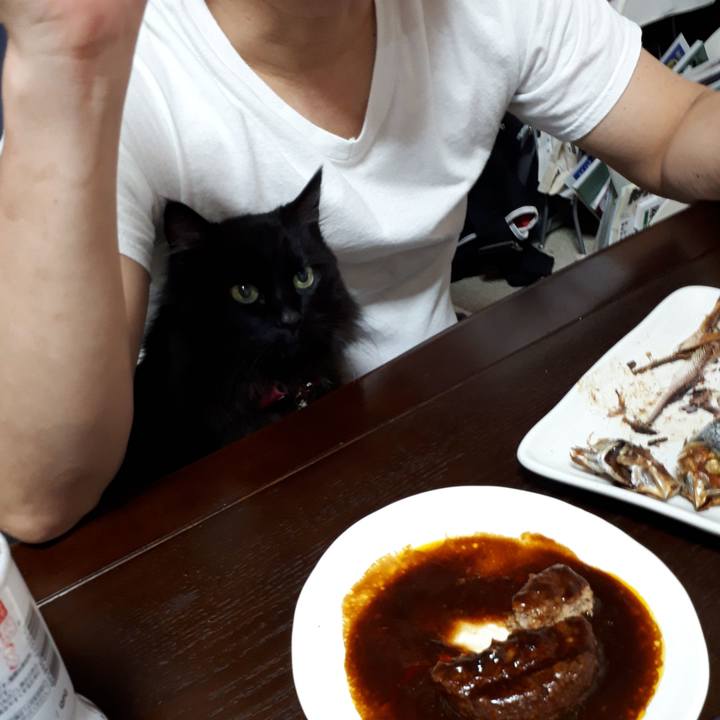 Cadcc297 8ca6 41cf 9016 ccd64d8b51f8 1522314478115