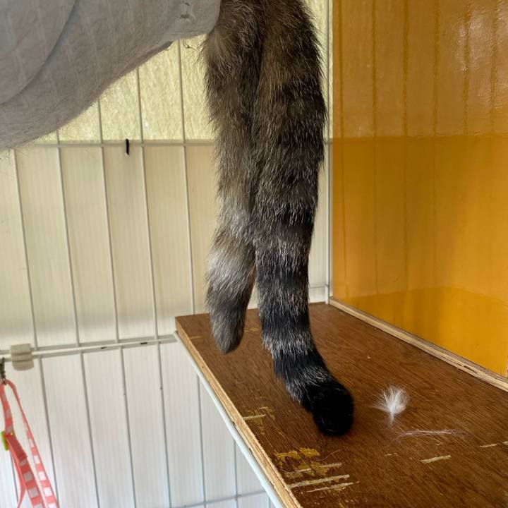 Cadcdd8d 3fdf 4f8b ac97 fd1feb6f73ab 1752376732055