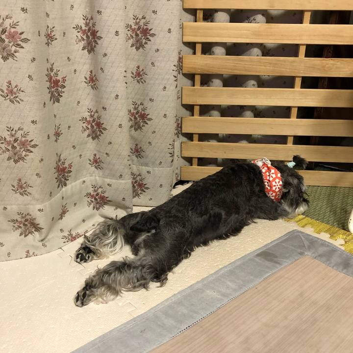 Cadcfdbd 5f4f 414b 9c9a 3ba6a375c8d3 1660055181399