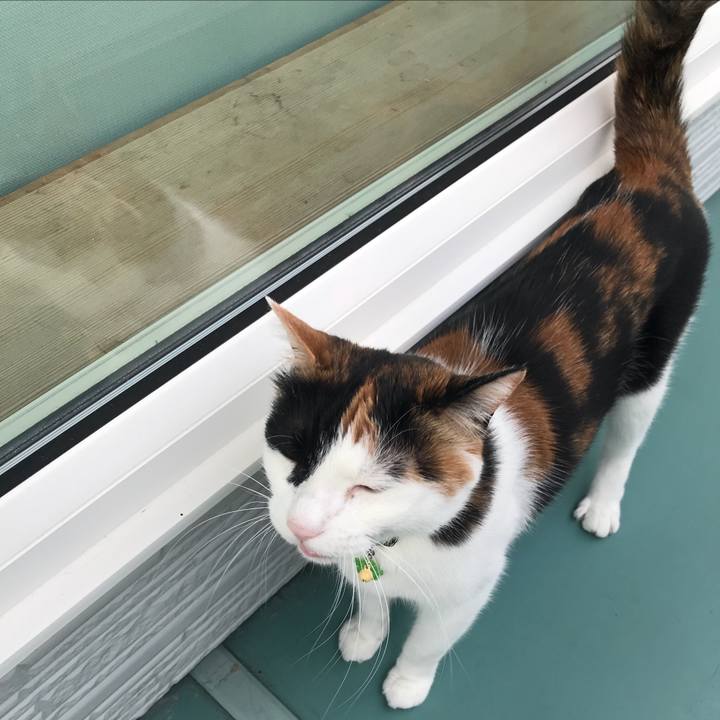 Cadd4af4 b44b 4bb9 a13d cf8b99849688 1528279183870