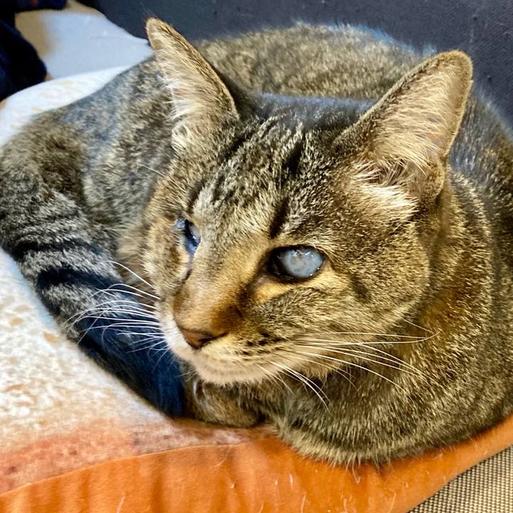 Cadd4c6e a3fb 4ecc adfe 8b4434882caf 1645151910461