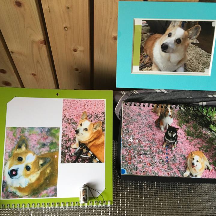 Cadd8fd8 7ce2 4caf 9d9e 42f6e32b5633 1585701380370