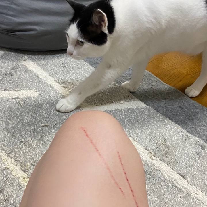 Caddb2a9 eb75 4d7c b45a ec81b5cb8d24 1625752478630