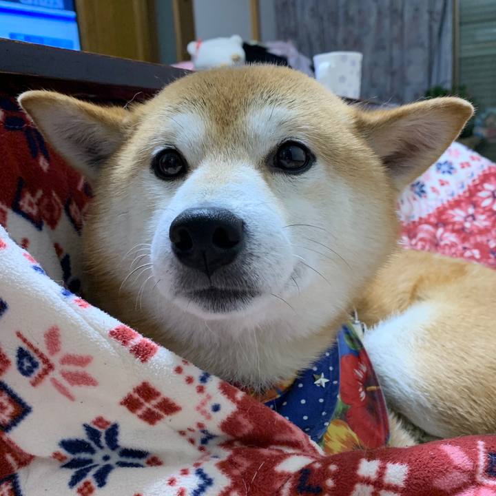 Caddc063 a3c3 4667 8fb3 0c8e54d0f978 1575721567946