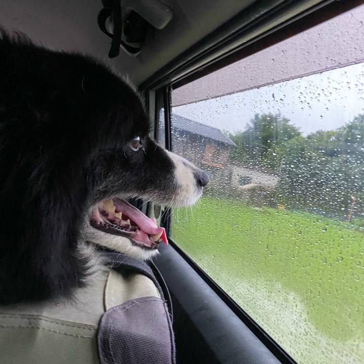 Caddddfd 35c3 4d4f b1b6 436237da0a4d 1657921888645