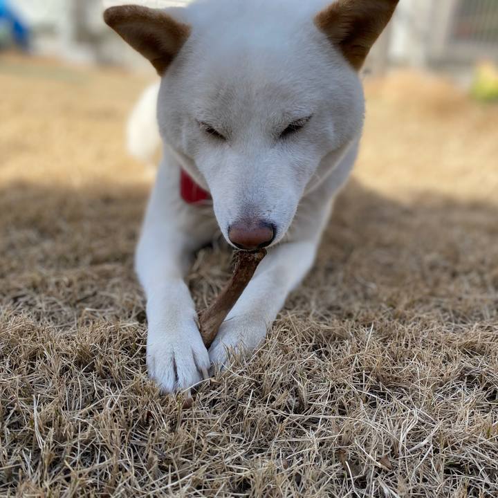 Caddf8ac ef26 45e6 b5fd d6794d600ee1 1613173536696