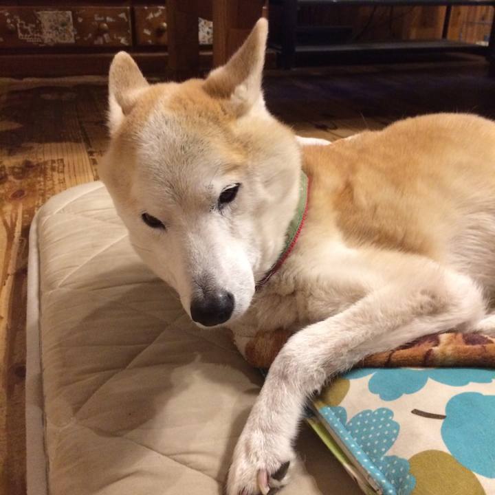 Cade3f3d 2e7f 4ea8 97d1 a53204061d6e 1573568419831