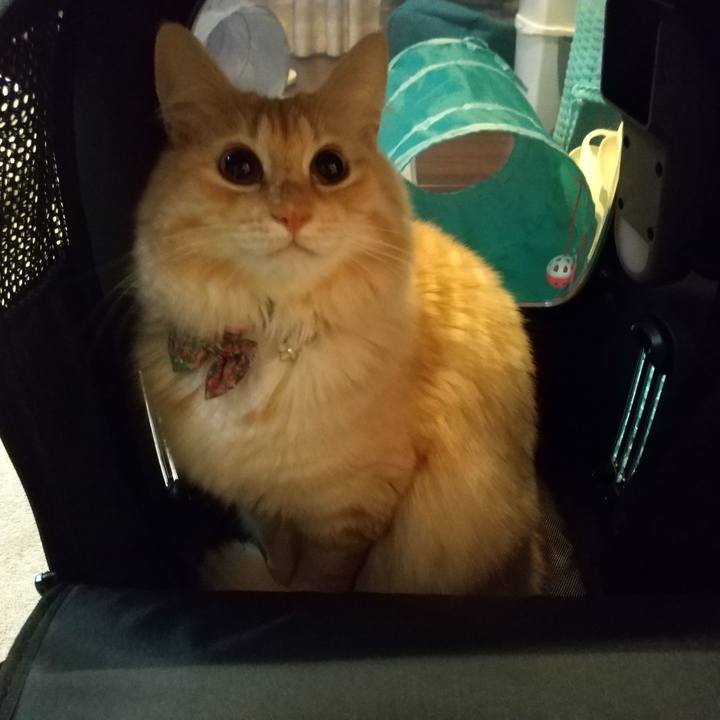 Cade48fc 44e1 4824 8581 3429bbce202d 1637272215748