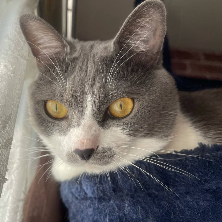 Cade535b 600c 47f0 b2d0 73f03579f294 1640049929091