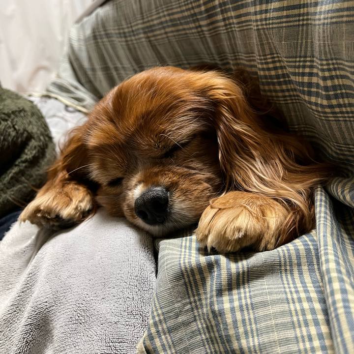 Cade8308 3c55 441c b1f4 094816a97ae7 1739613820807